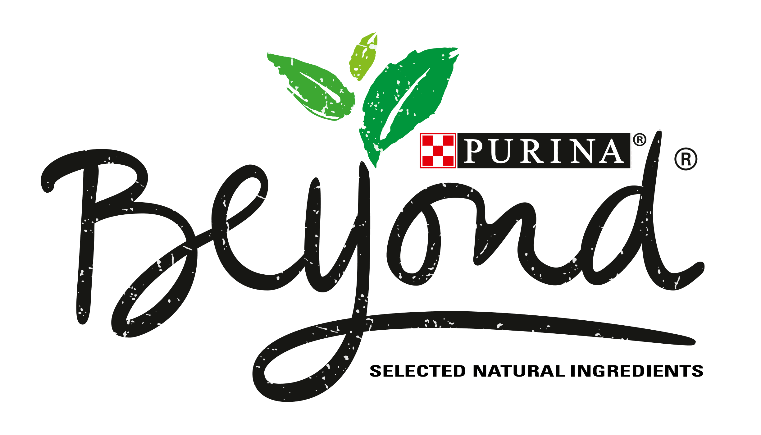 Purina beyond hot sale lamb